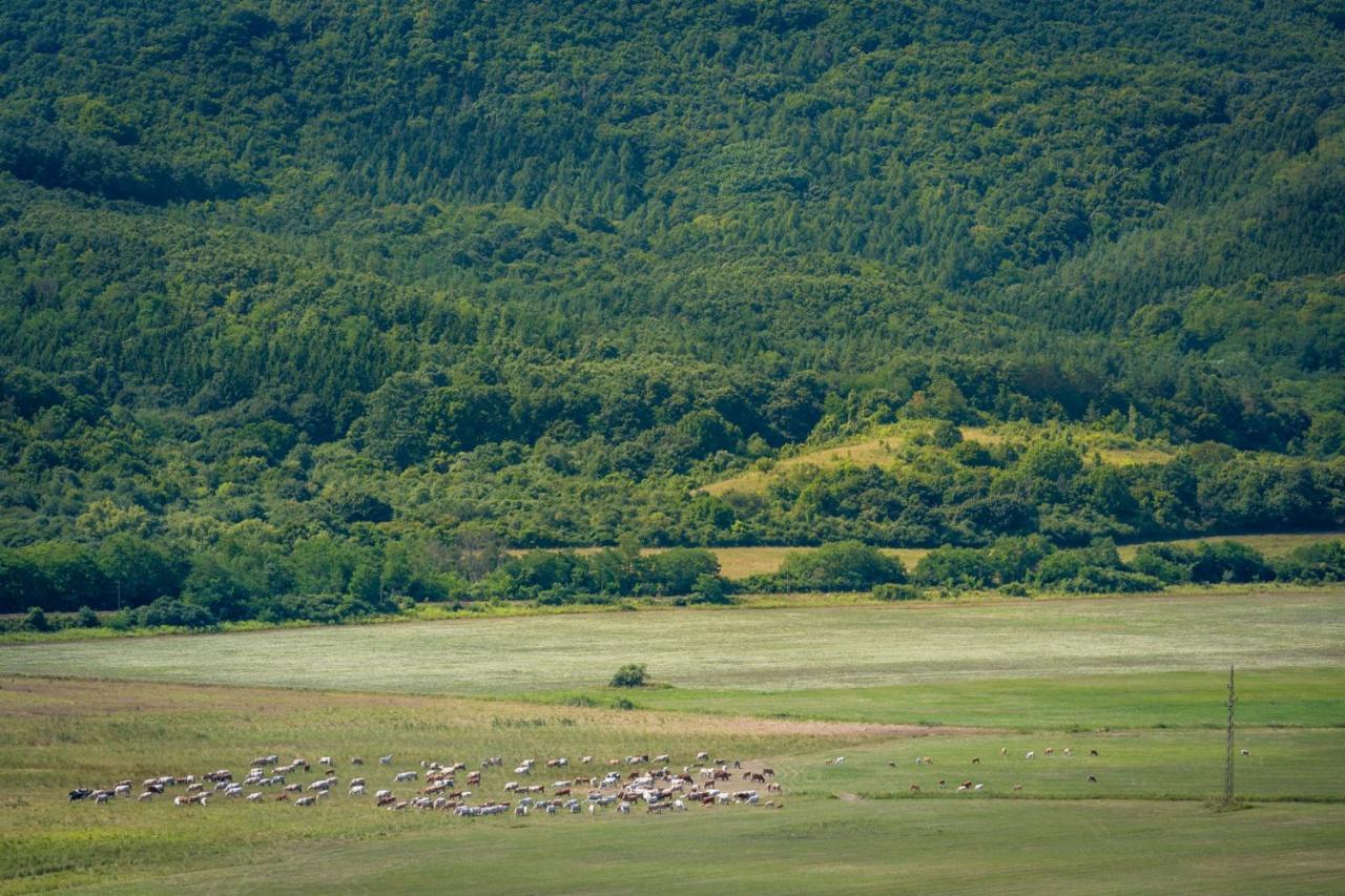 Апартаменти Csenger Vendeghazak Matraverebely Екстер'єр фото